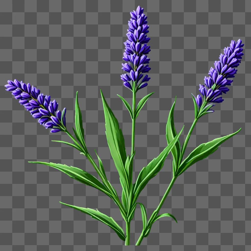 Three lavender flowers on green background