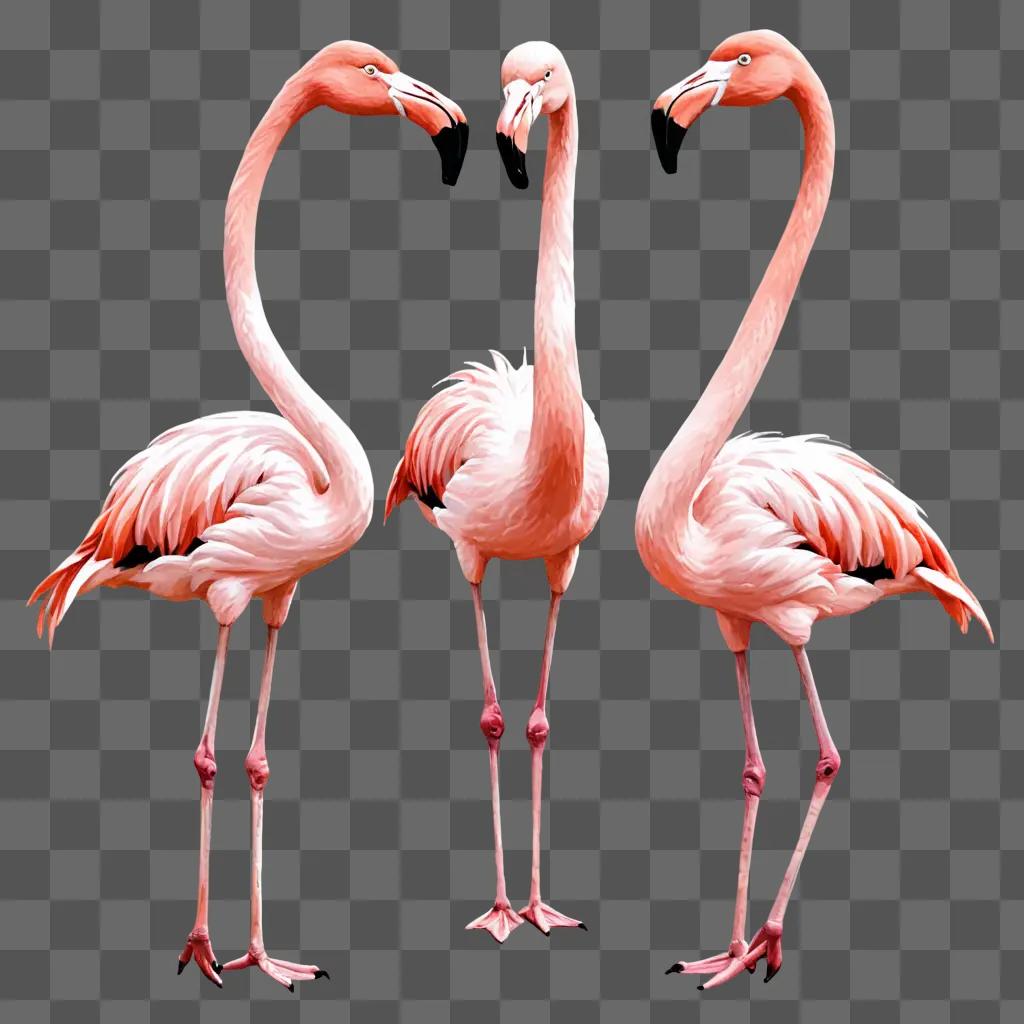 Three pink flamingos are drawn with a sketch effect