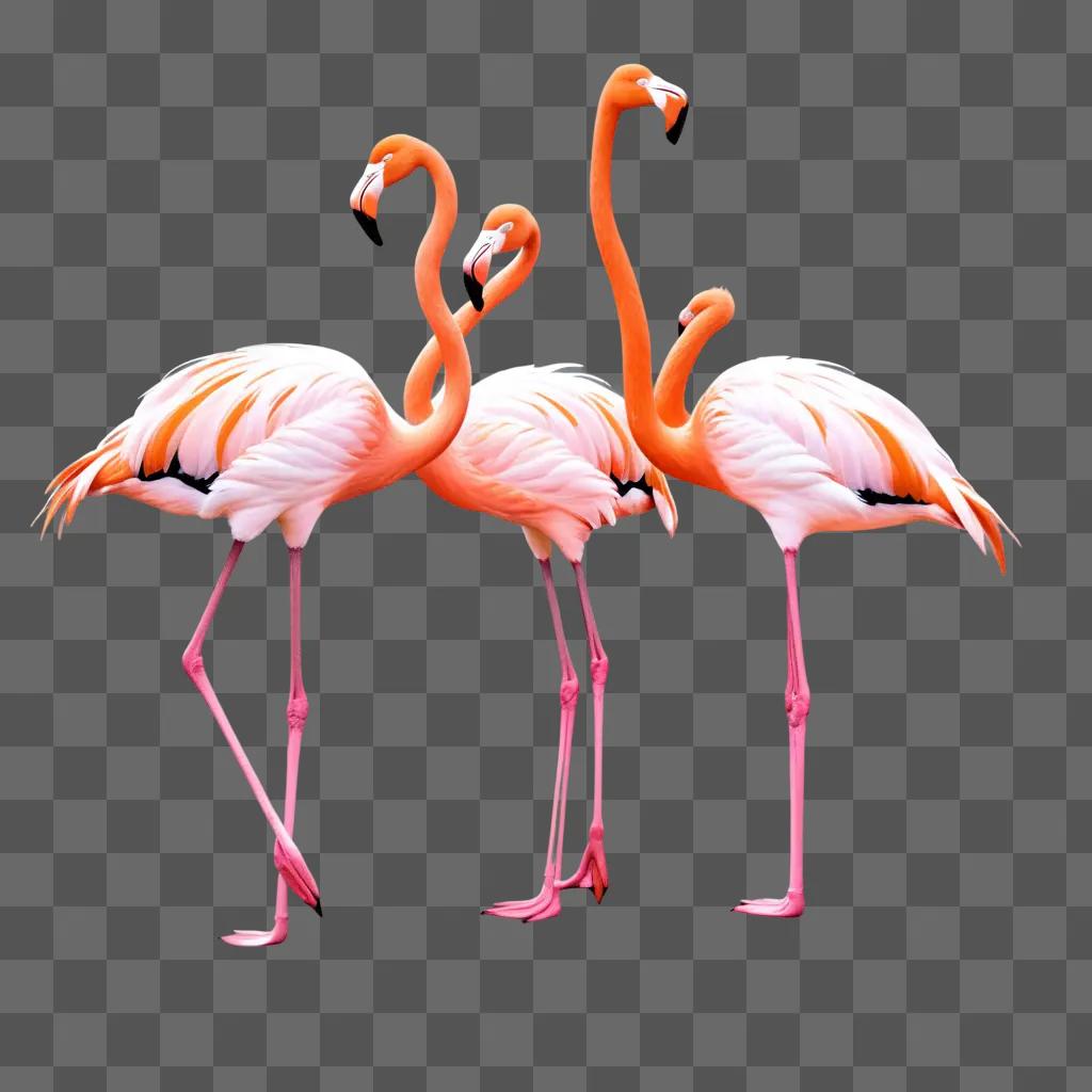 Three pink flamingos on a pink background