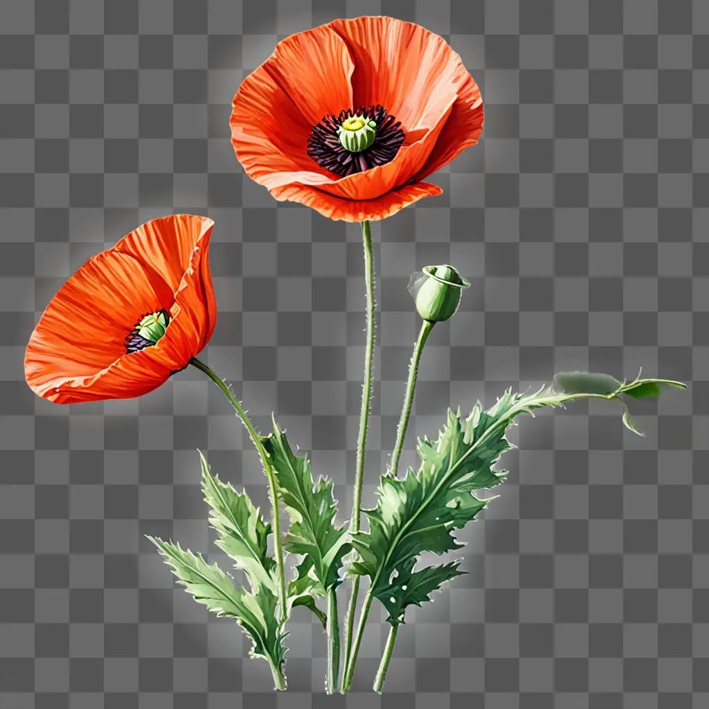 Three poppy flowers blooming on a beige background