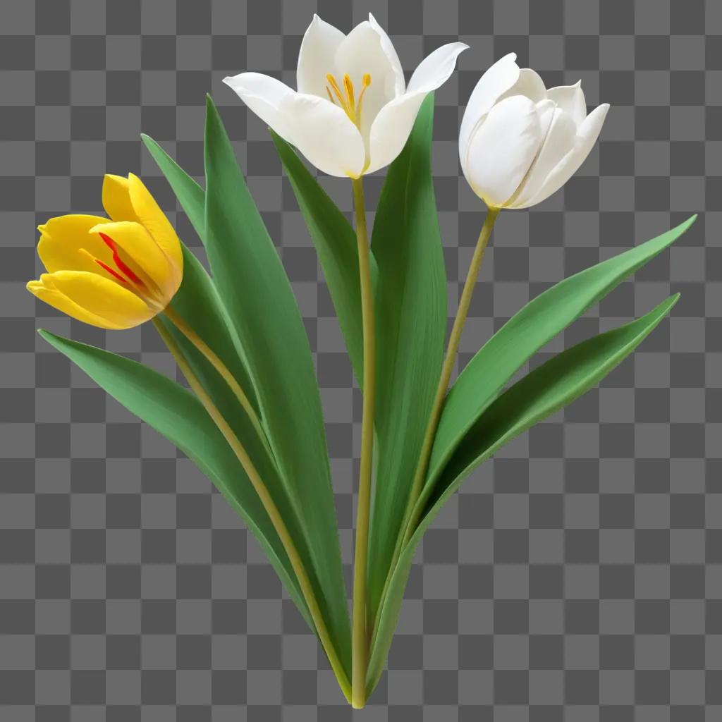 Three tulips are in a small flower drawing