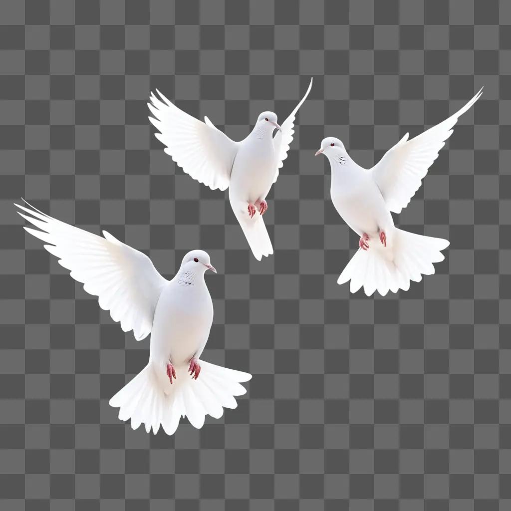 Three white birds fly in the sky