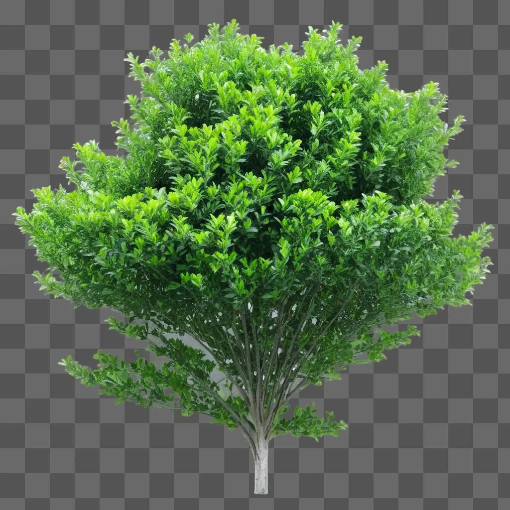 Transparent bush with green leaves in front of a green background