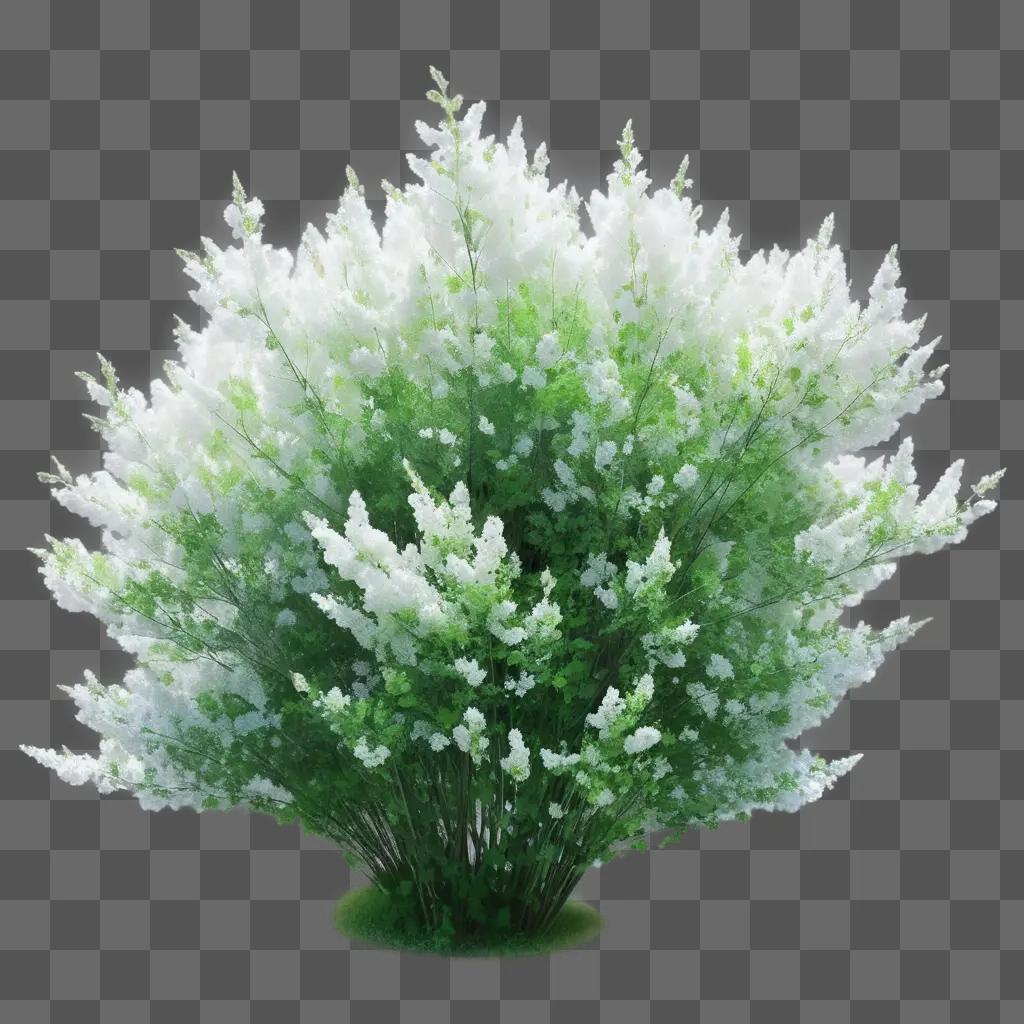 Transparent bush with white flowers in a green background