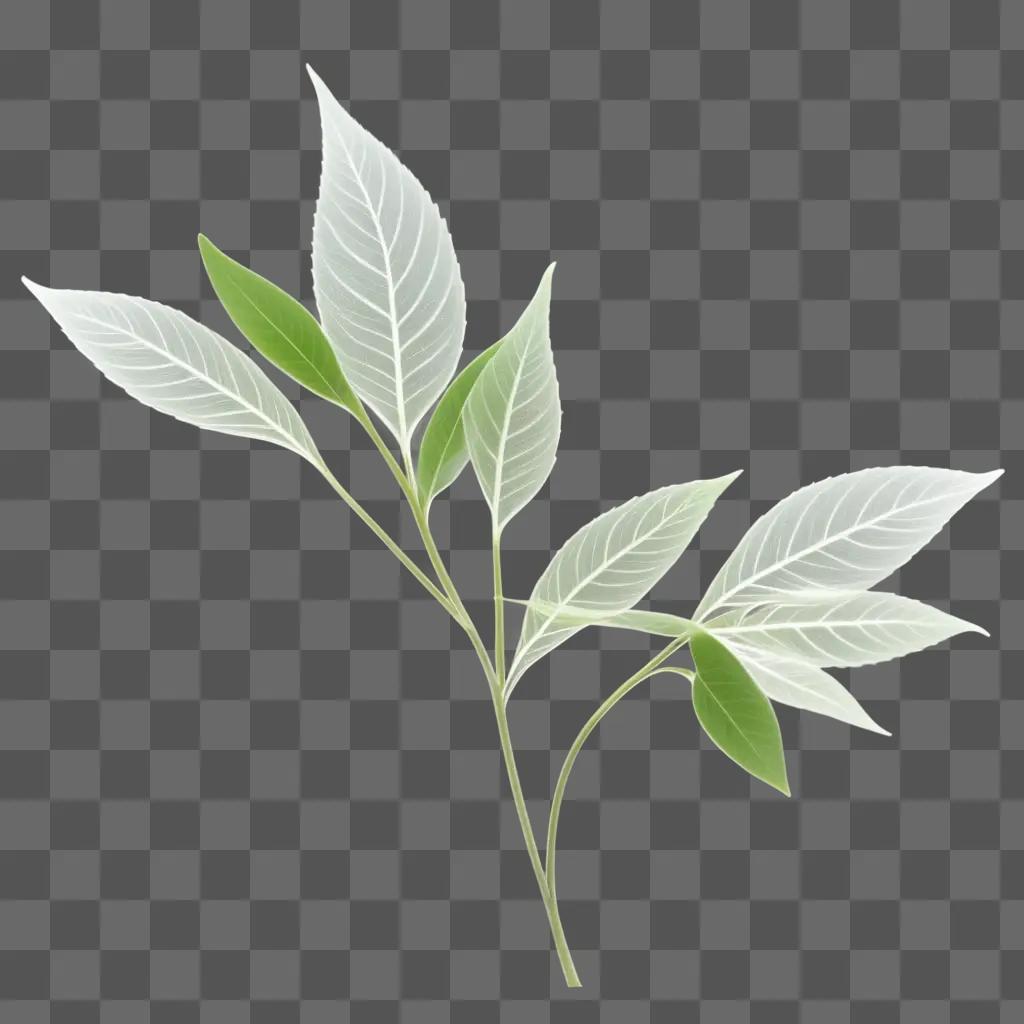 Transparent plant branch with leaves