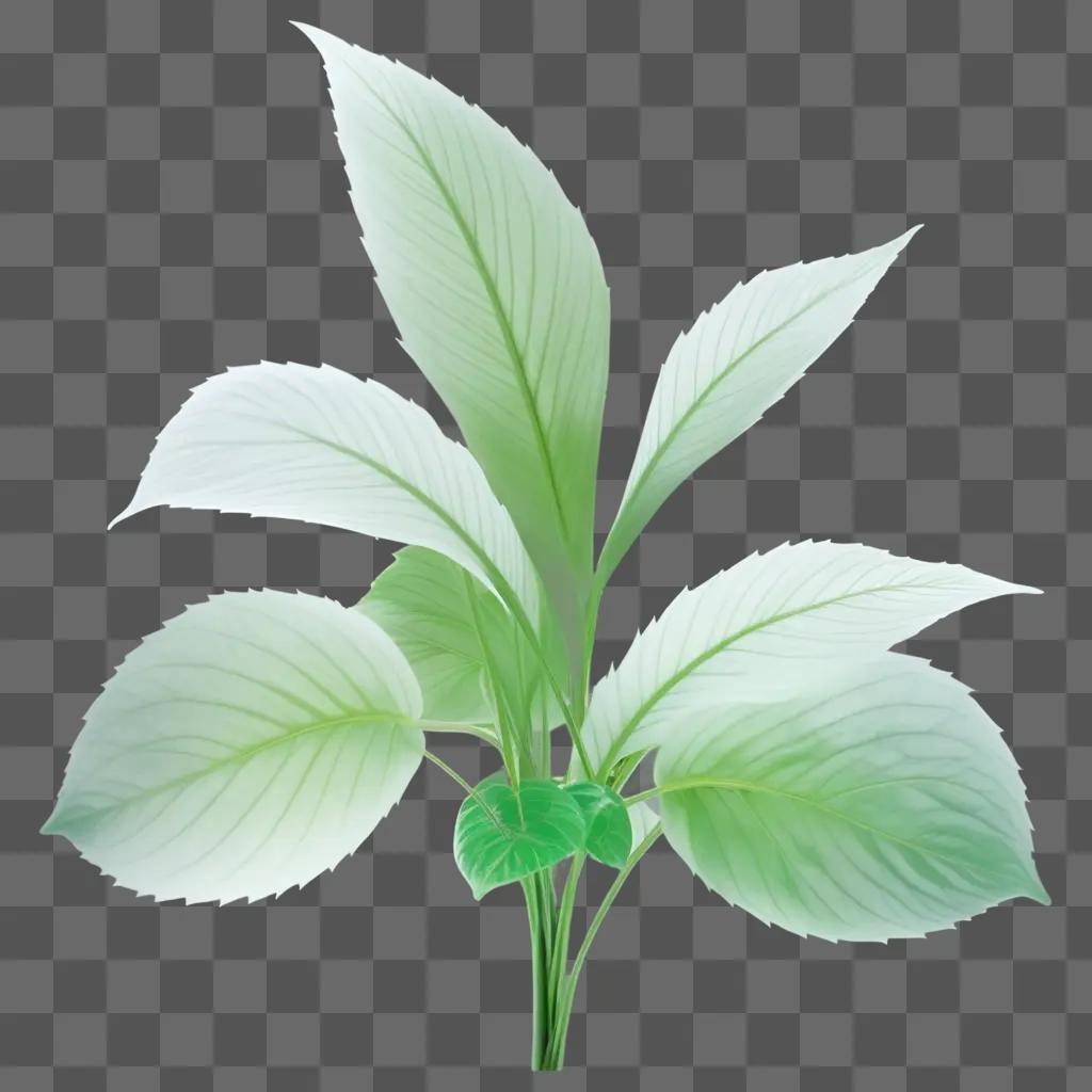 Transparent plant leaves against a green background