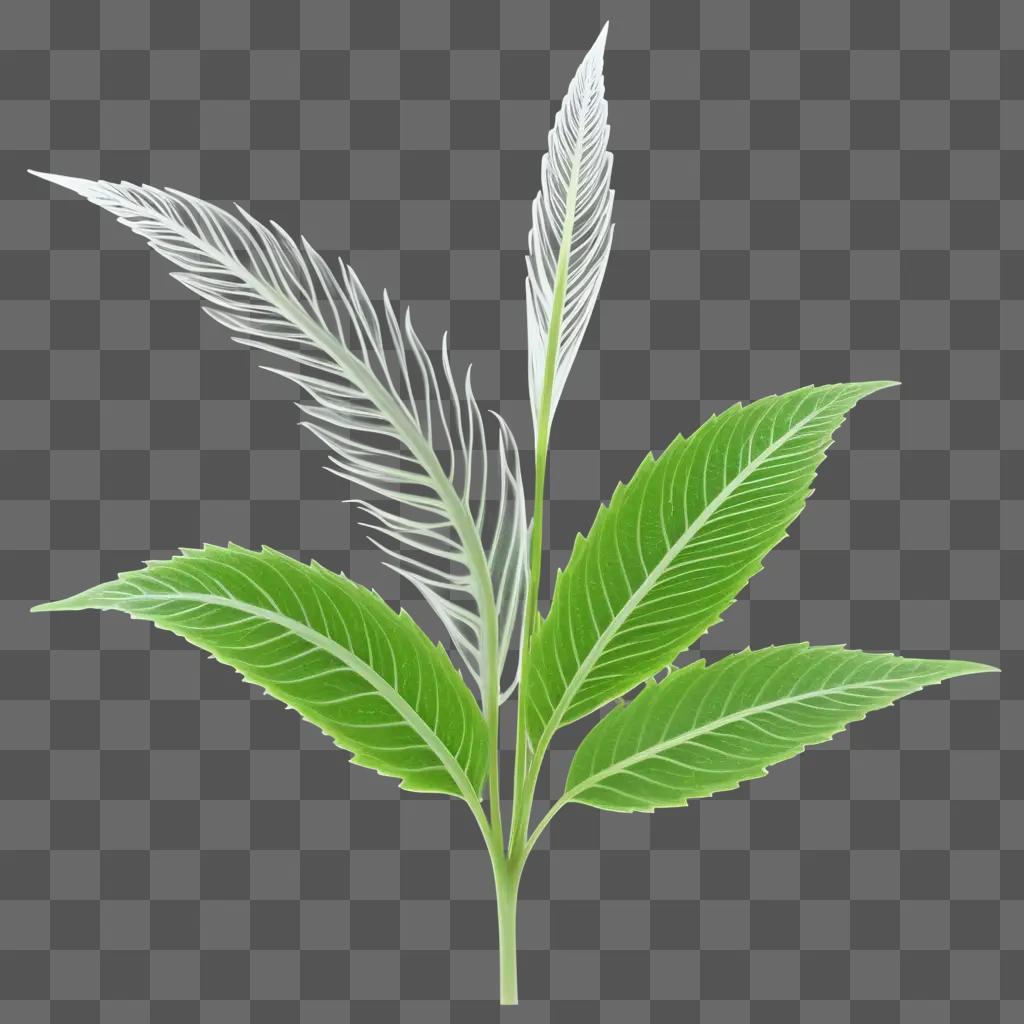 Transparent plant leaves on a green background