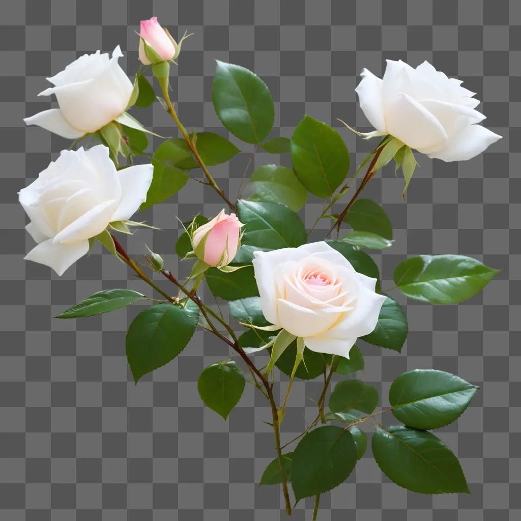 Transparent rose petals in a vase