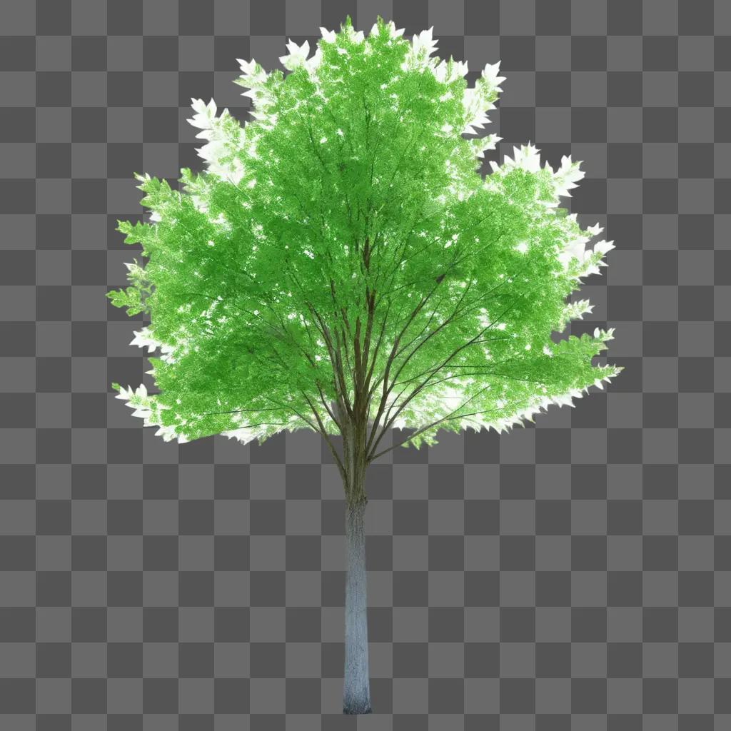 Transparent tree against a green background