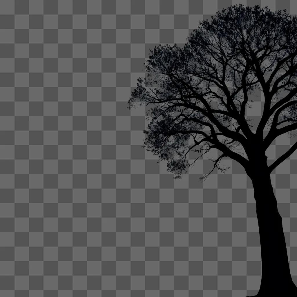 Tree silhouette in dark sky at night