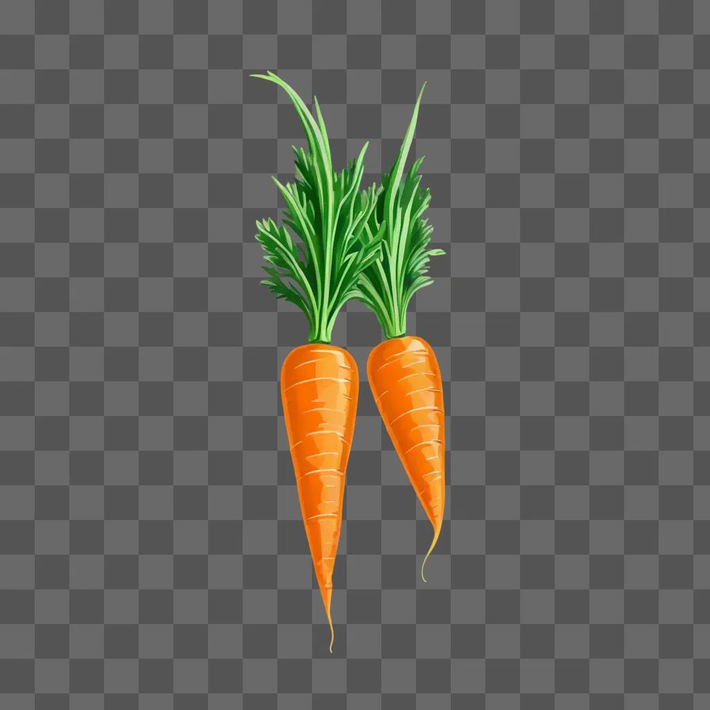 Two carrots drawn in a bright color palette