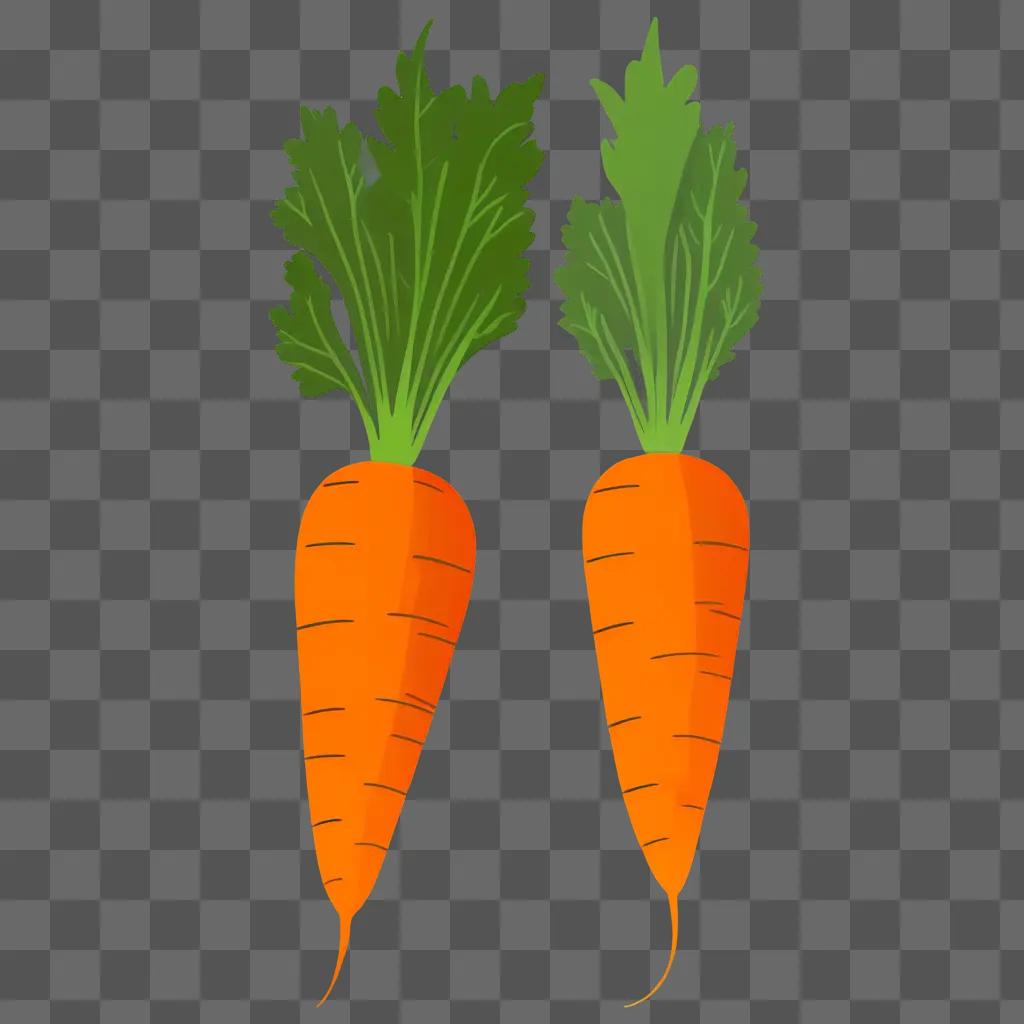 Two carrots with green stems and green leaves