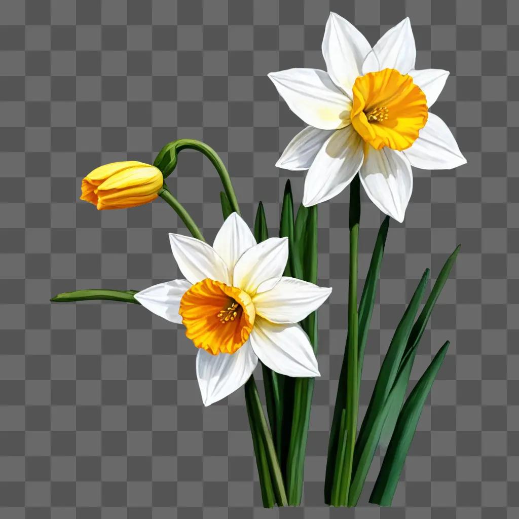 Two daffodil flowers in a floral drawing