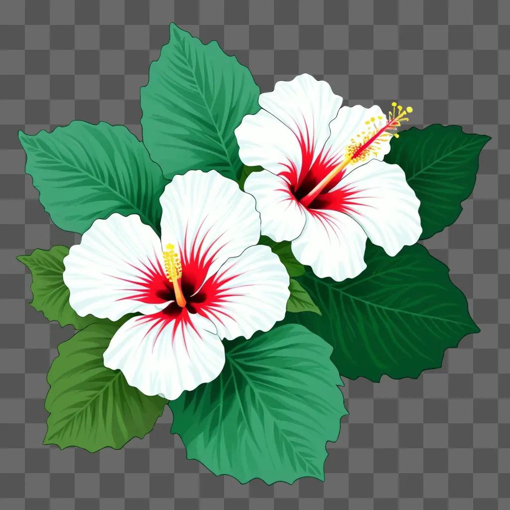 Two hibiscus flowers against a green background