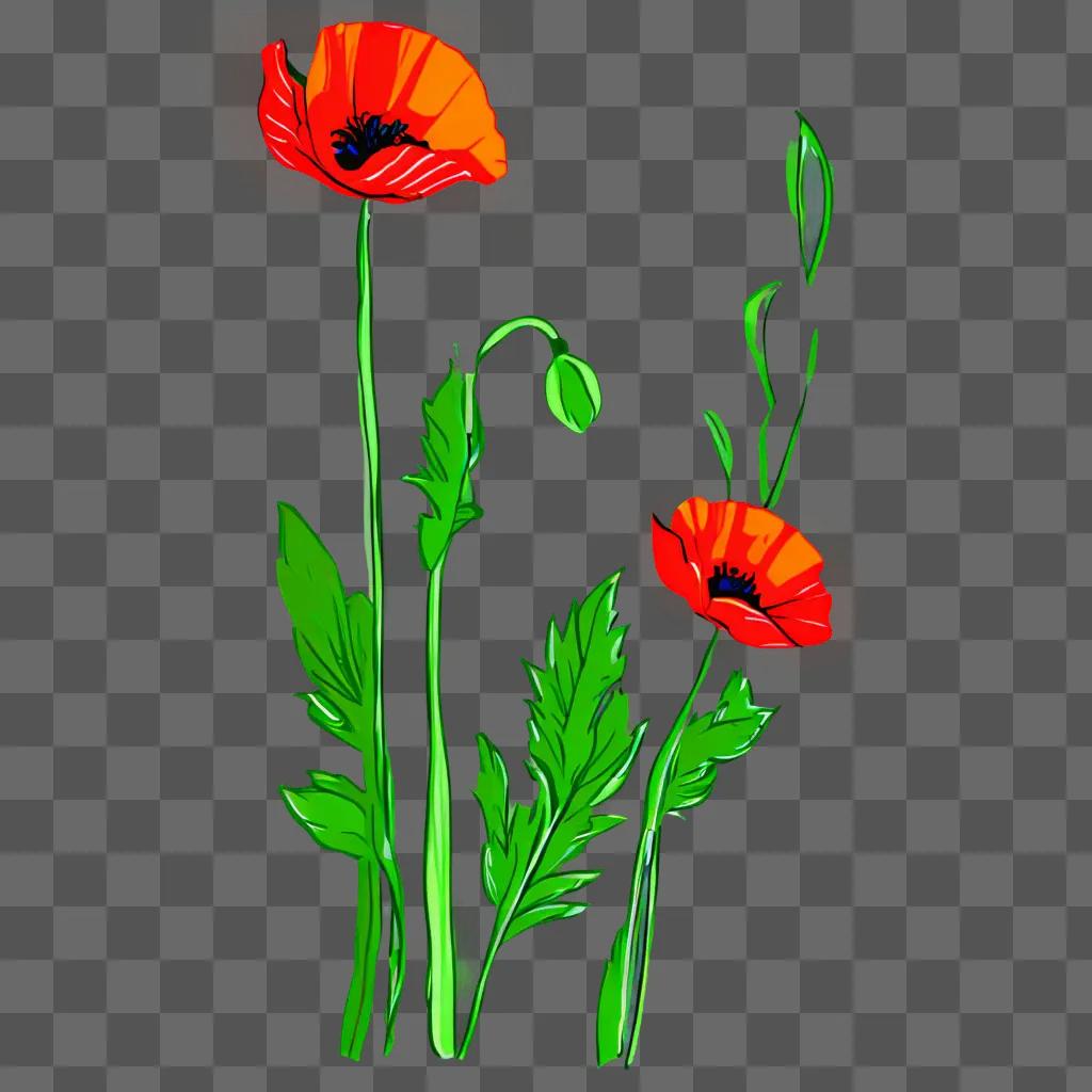 Two poppy flowers with green leaves on a green background