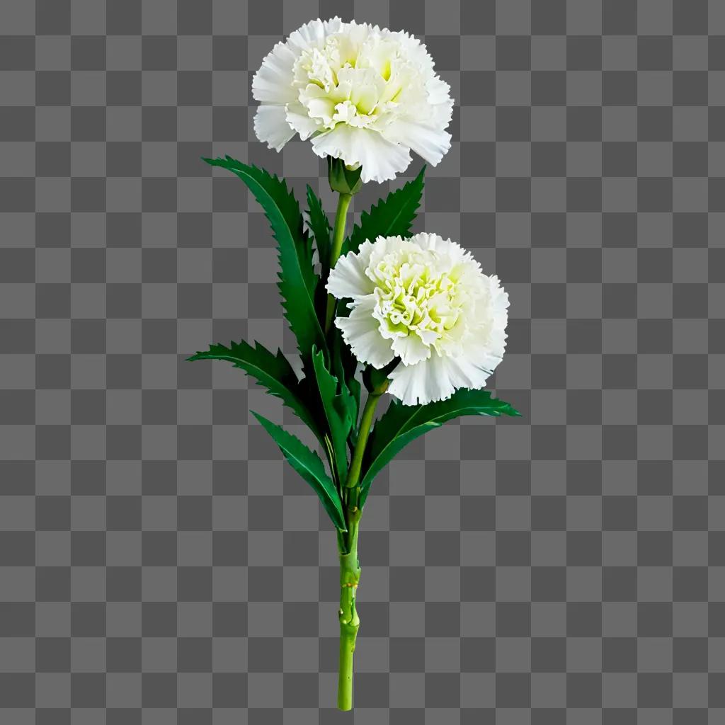 Two white flowers in a green background