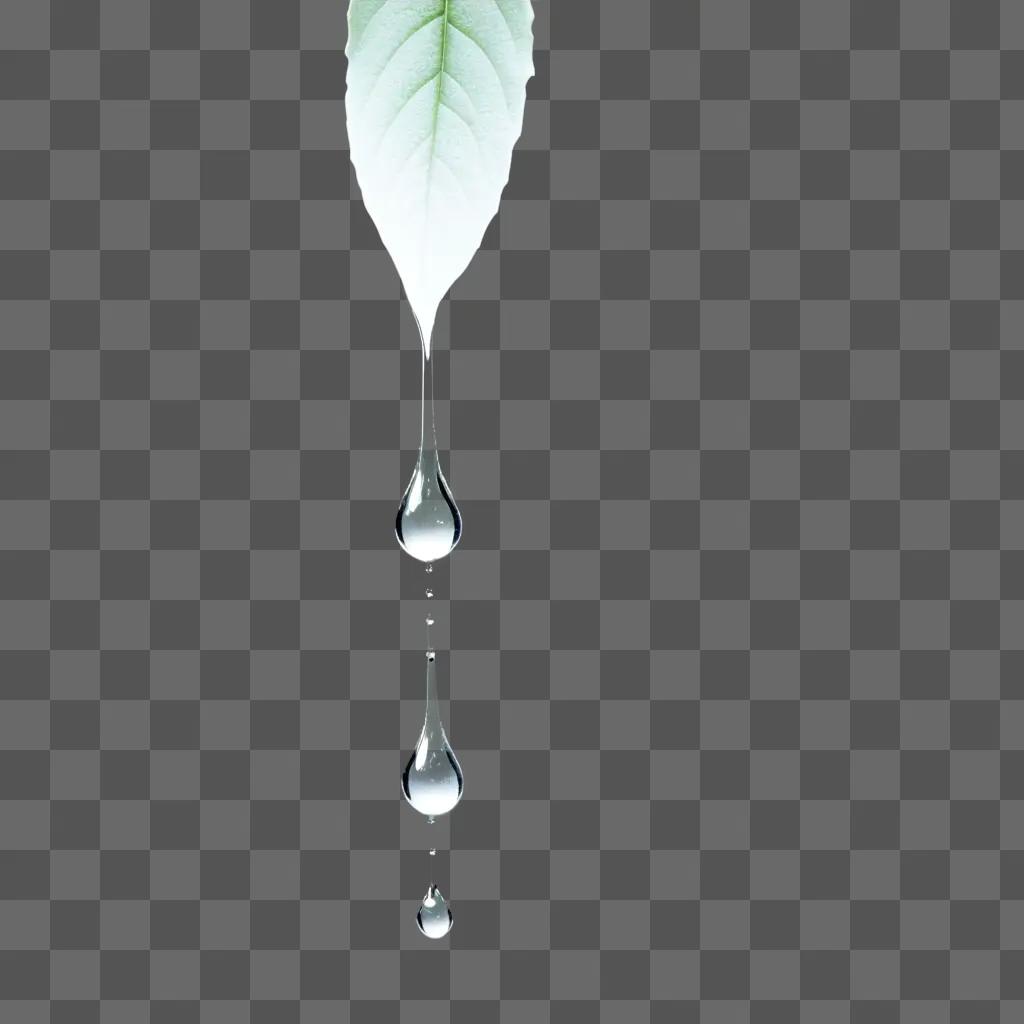 Water drip dripping down from a leaf