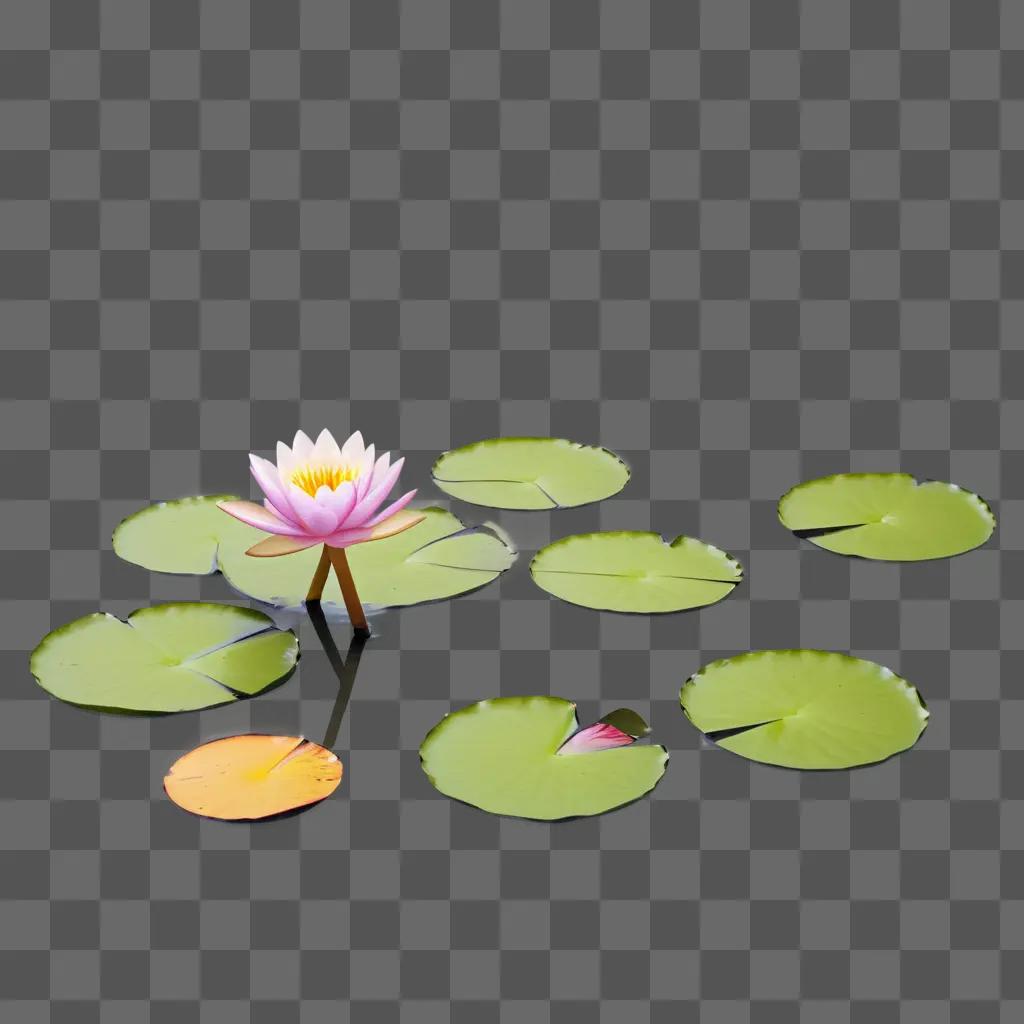 Water lily blooms in the sun on green leaves