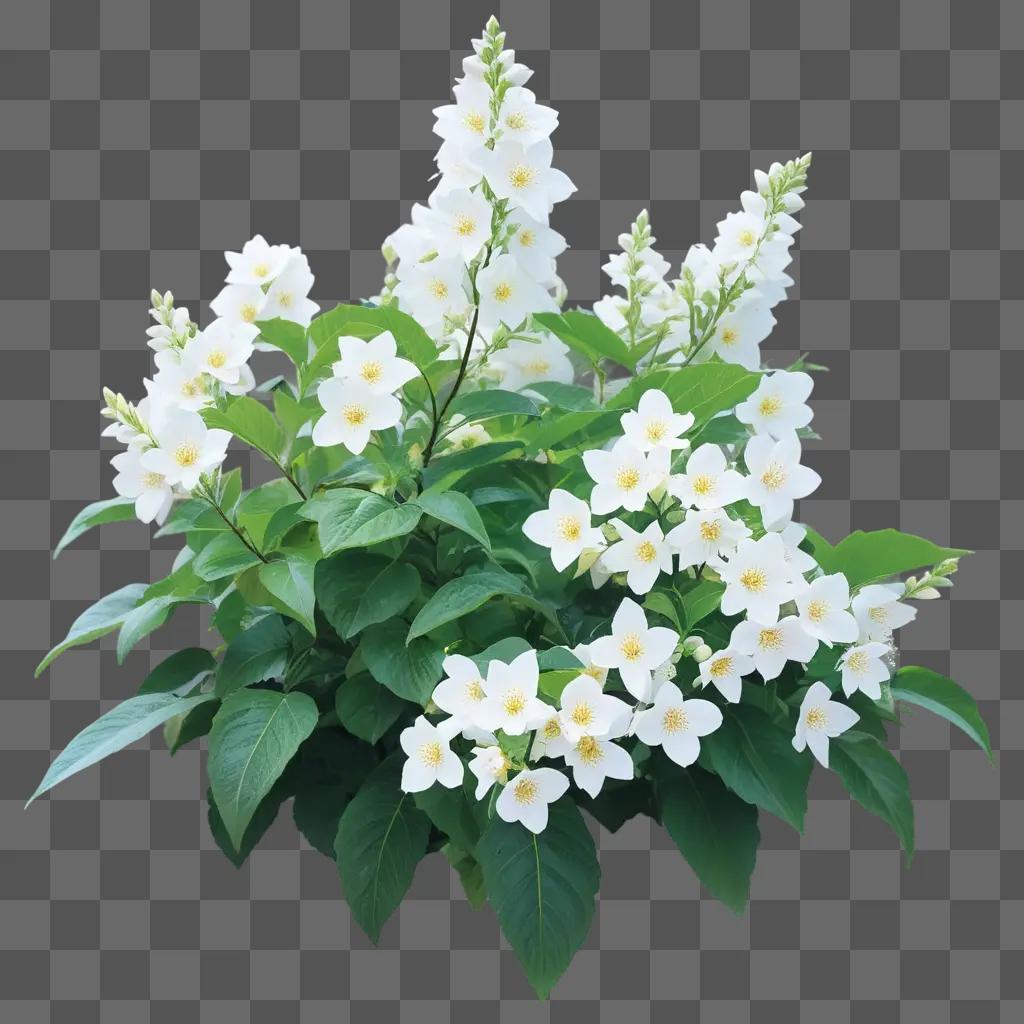 White flower bush with green leaves