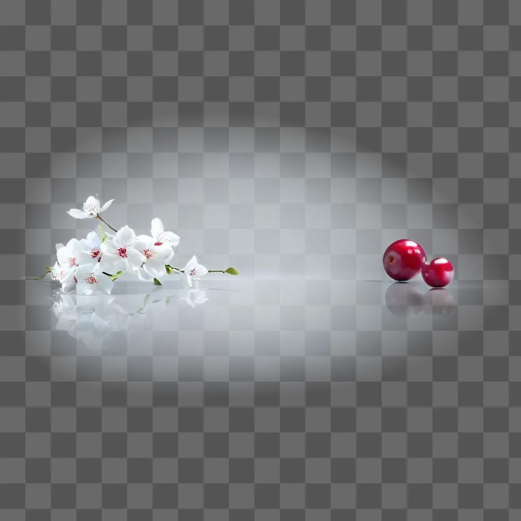 White flowers and berries on a shiny white surface