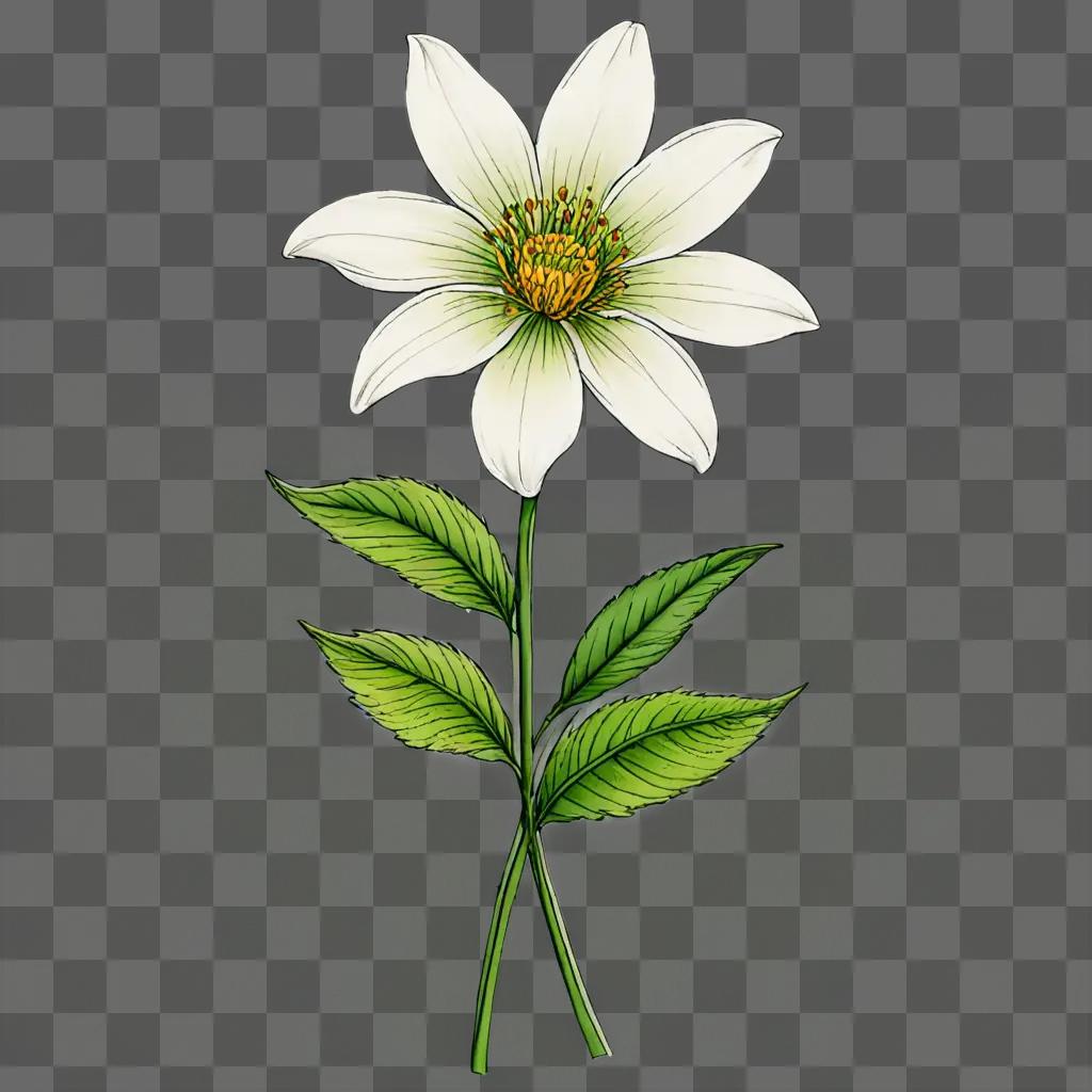 a pretty flower drawing on a green background