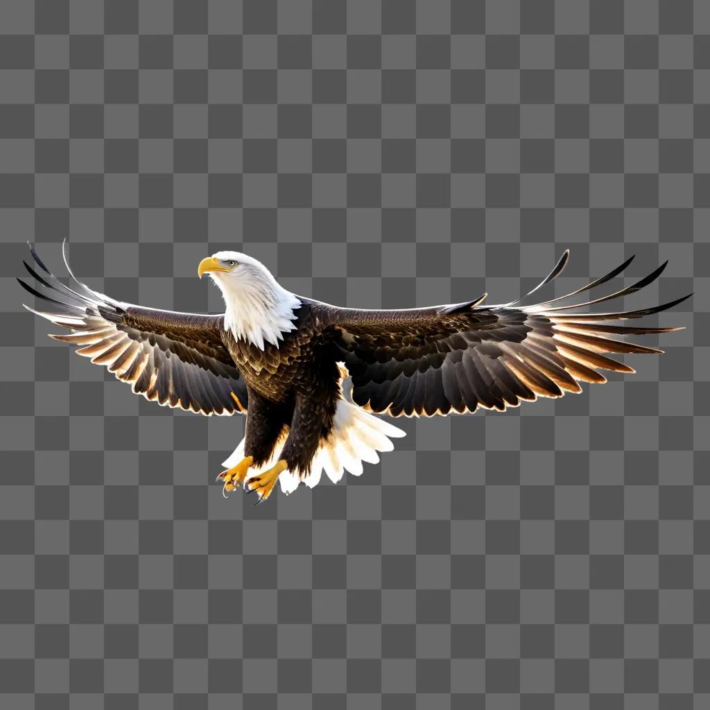bald eagle in flight against a transparent background
