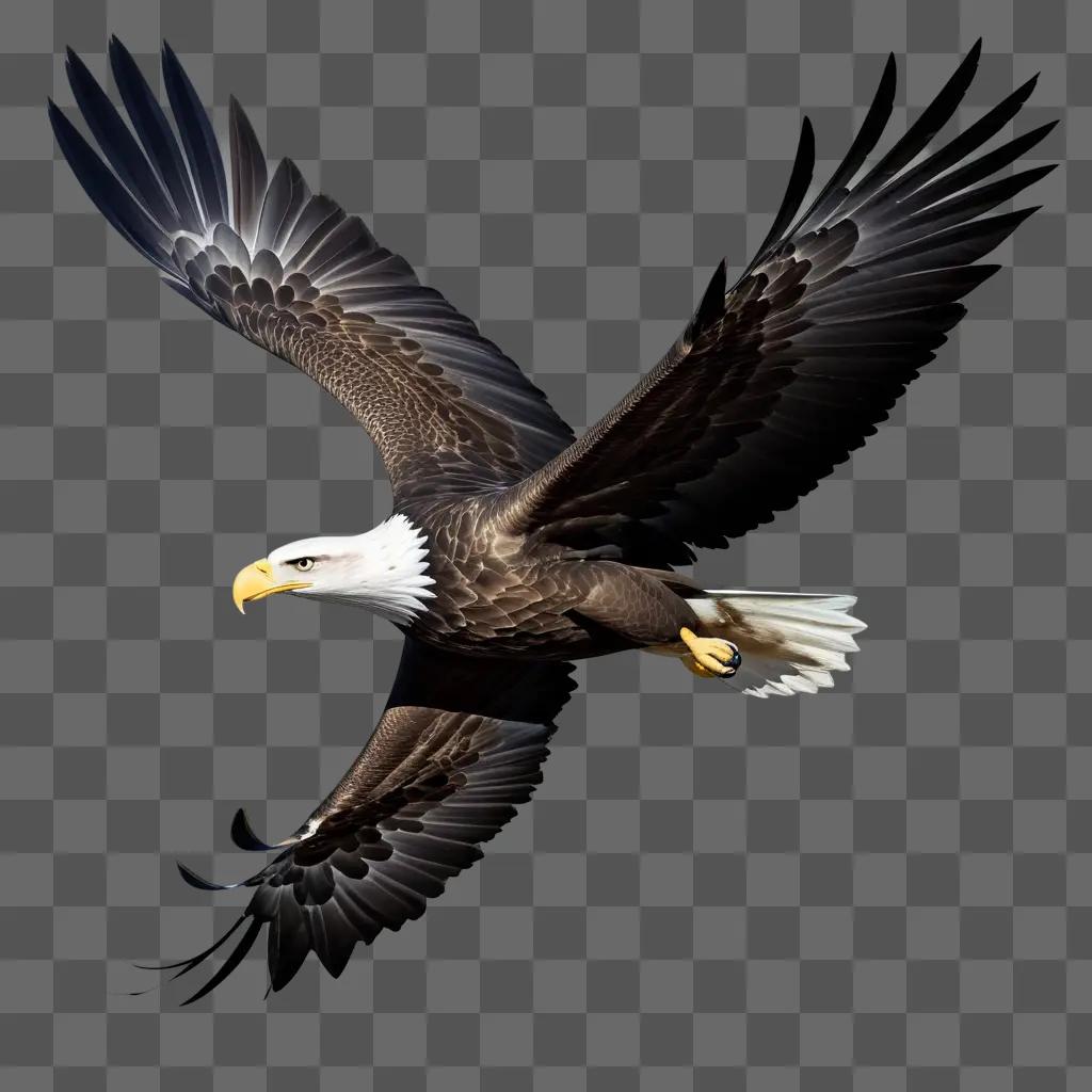 bald eagle with a transparent background flying