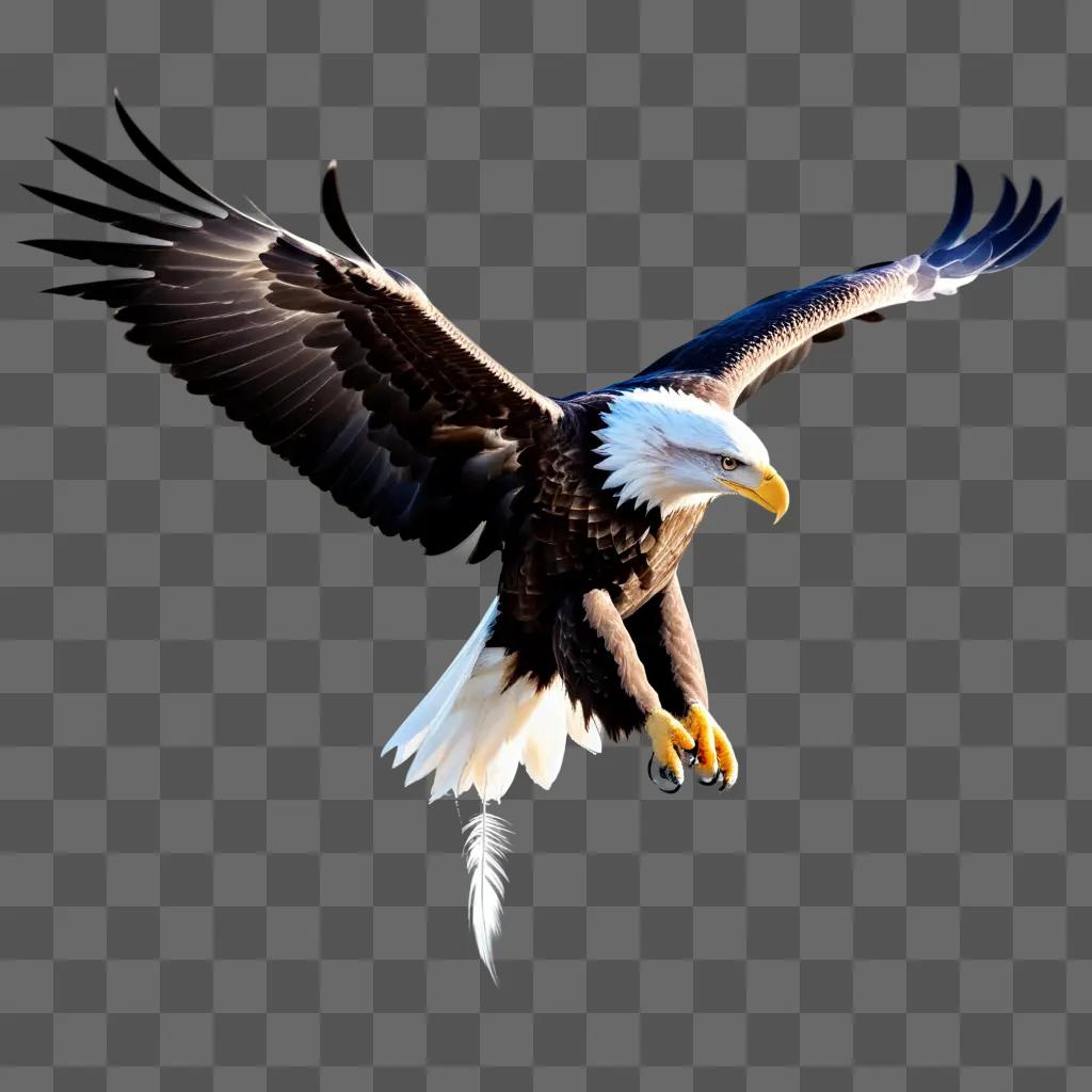 bald eagle with wings outstretched in a transparent background