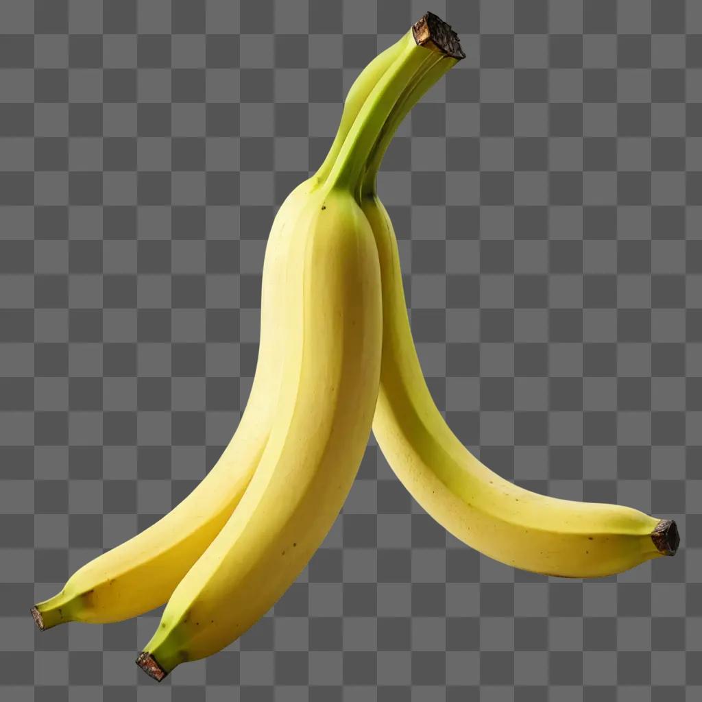 banana outline Two bananas on a yellow background