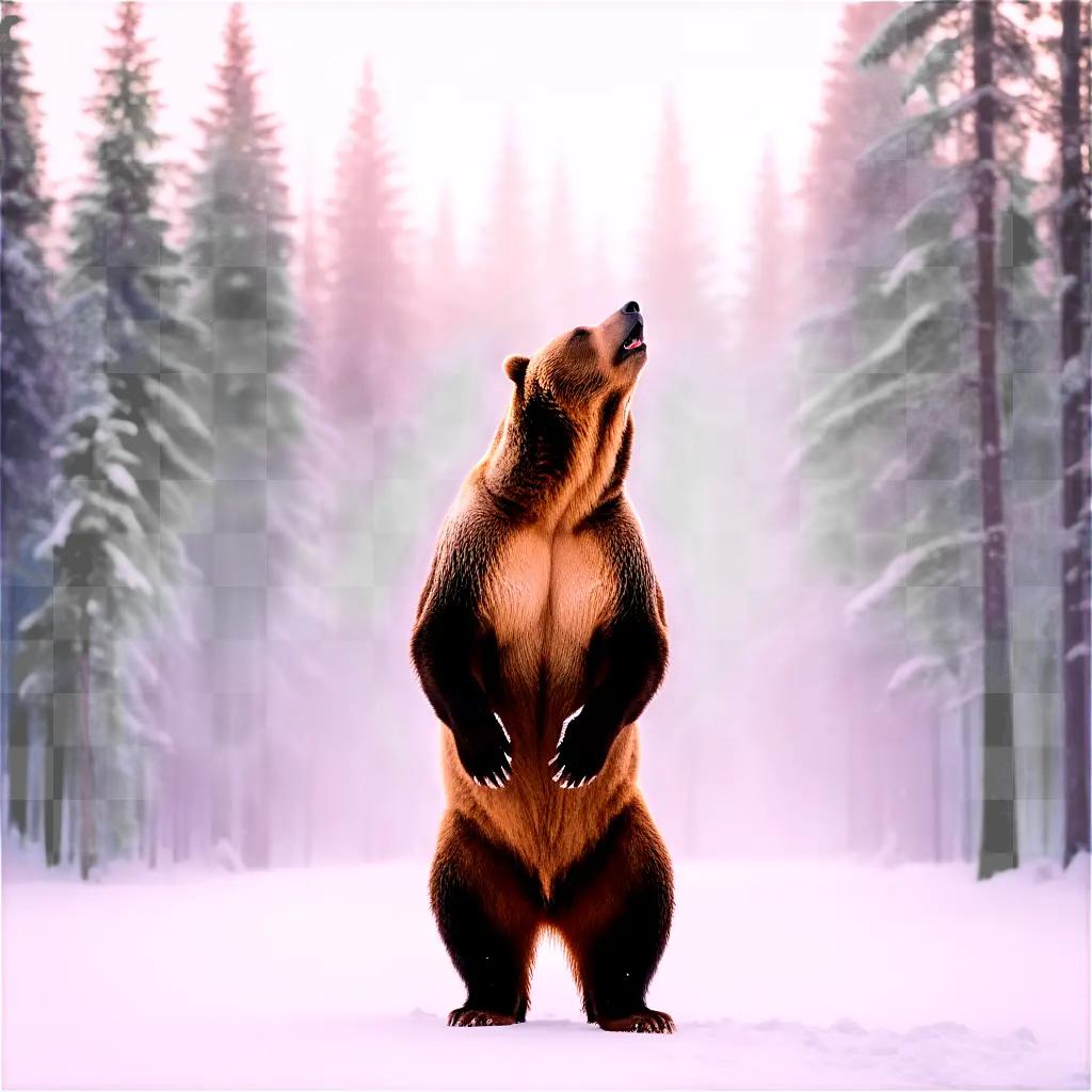 bear standing on two legs in a snowy forest