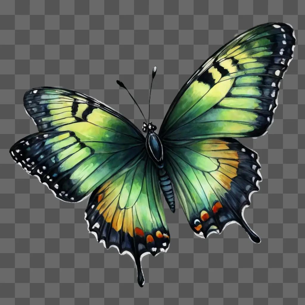 beautiful butterfly drawing A green and yellow butterfly is painted on a green background