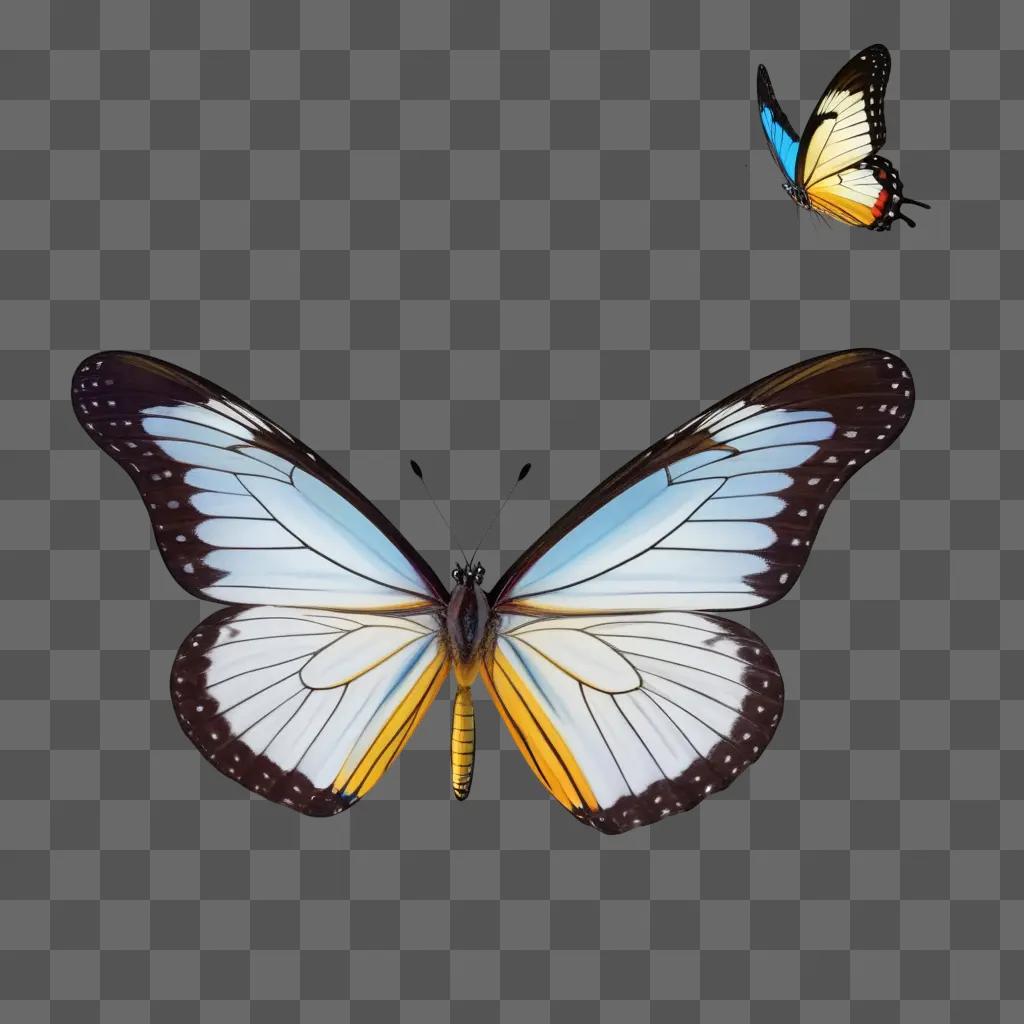 beautiful butterfly drawing with blue and yellow colors