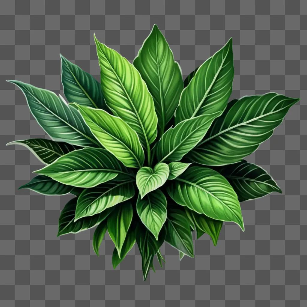 beautiful green plant drawing with vibrant leaves