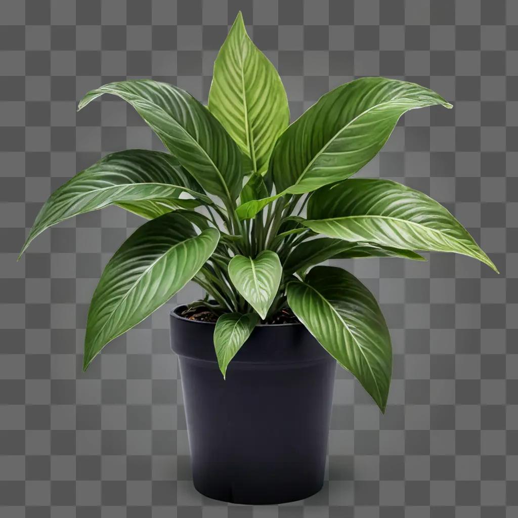 beautiful plant drawing Green plant in a pot with a green background