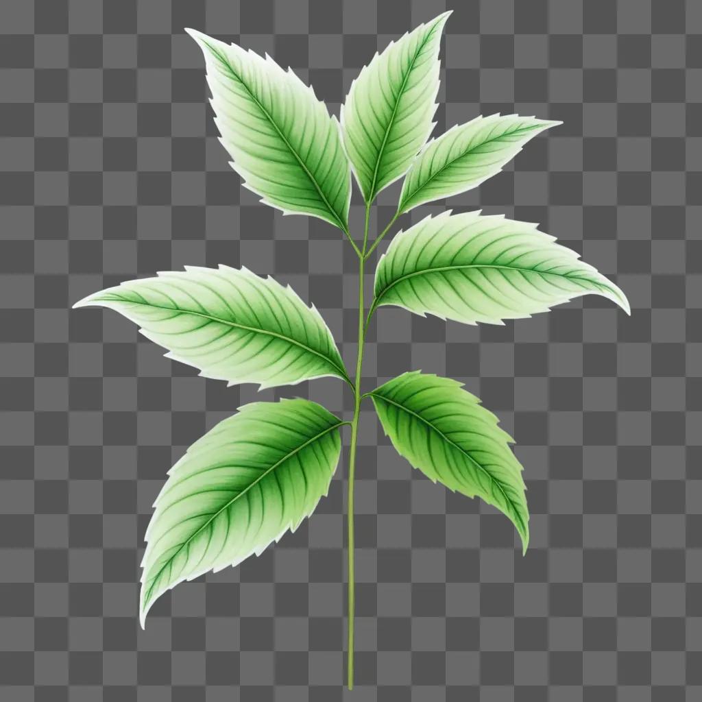 beautiful plant drawing on a green background