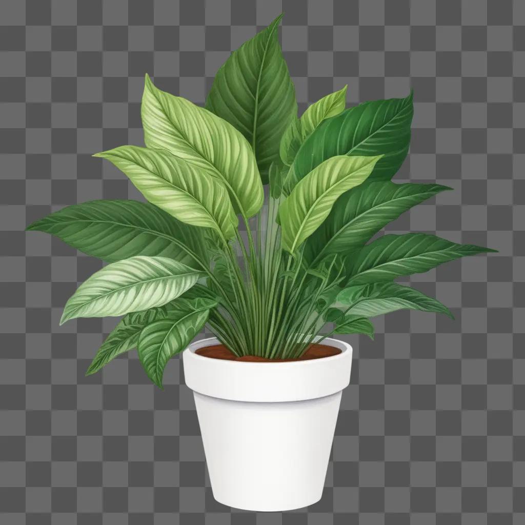 beautiful plant is drawn in a pot