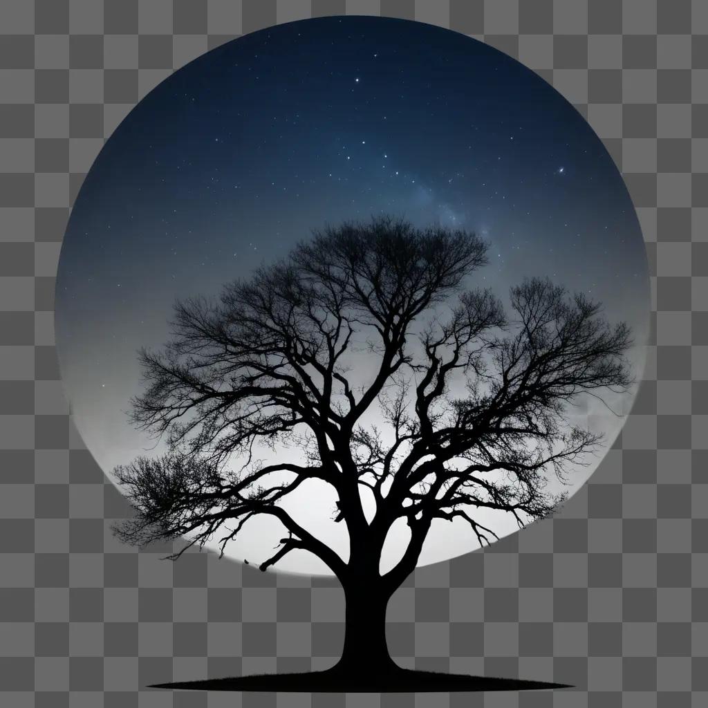 black image of a tree under a starry sky