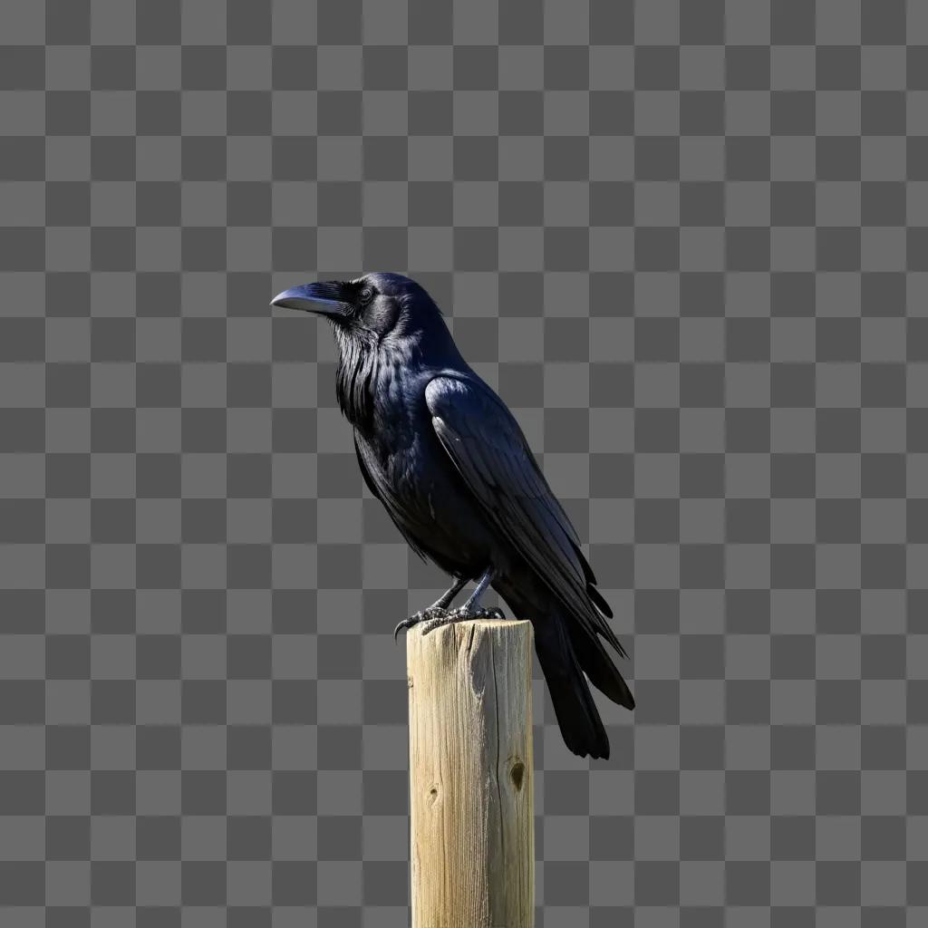 black raven sits on a wooden post