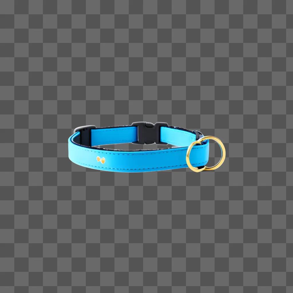 blue dog collar with gold buckle and chain