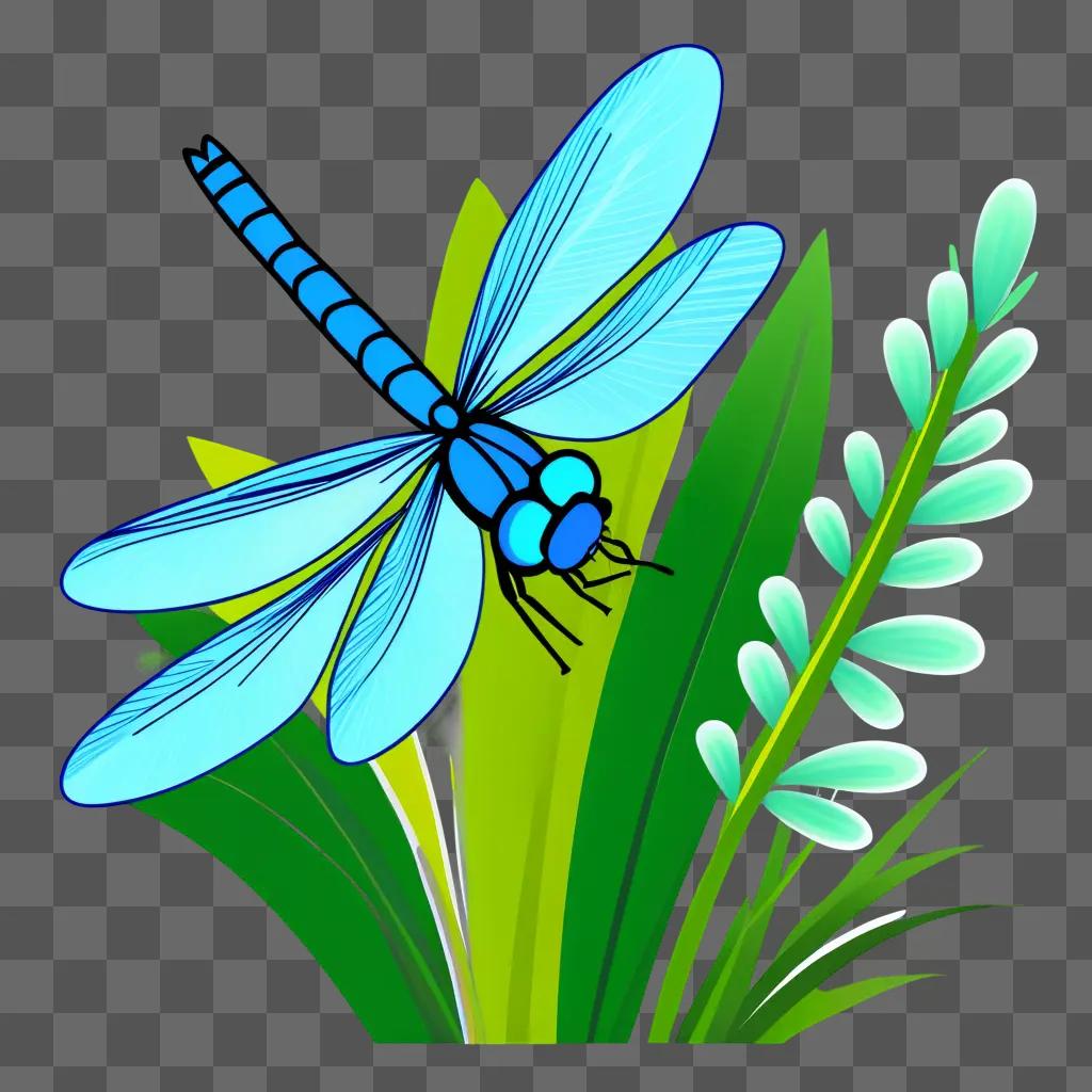 blue dragonfly flying over green leaves