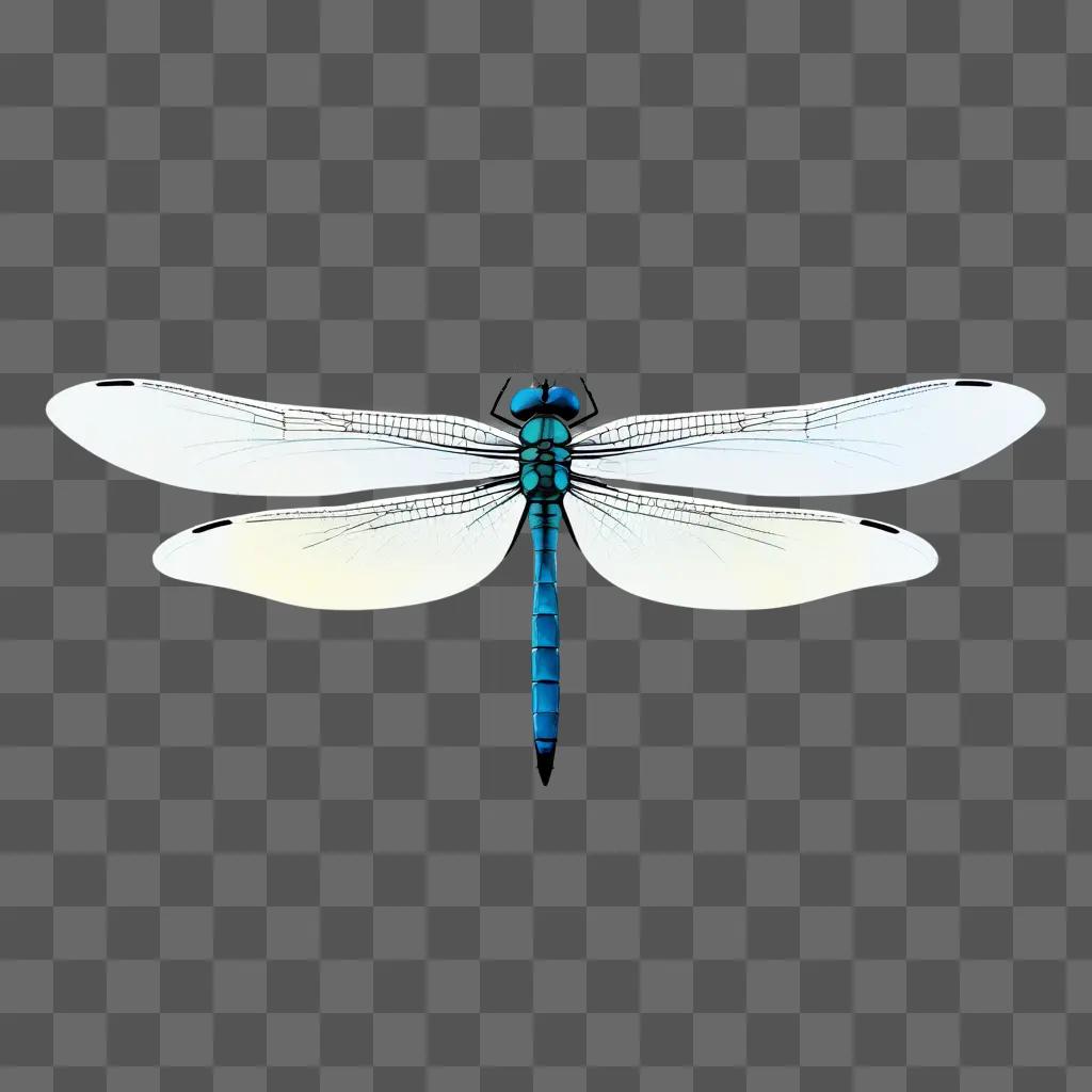 blue dragonfly with a simple drawing on it