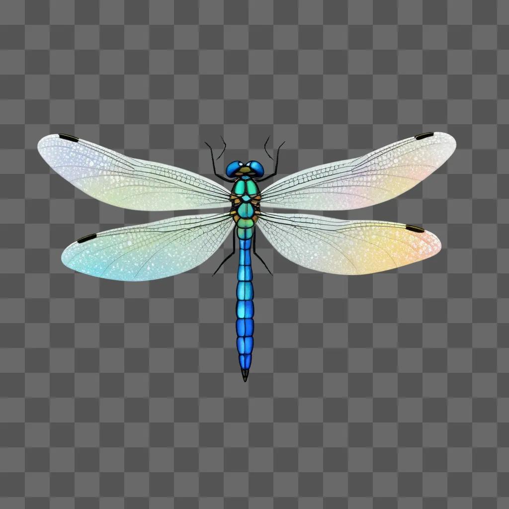 blue dragonfly with brightly colored wings