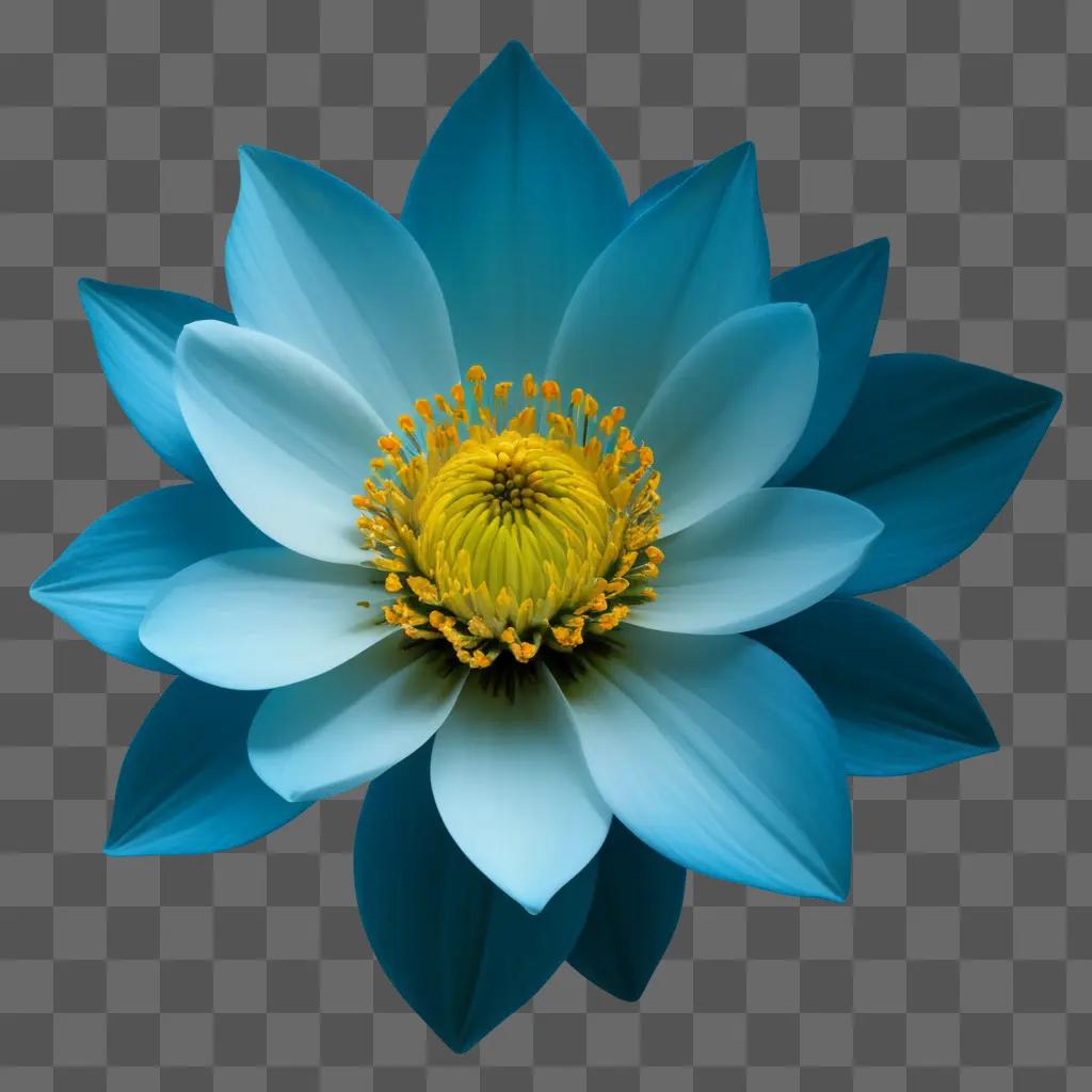 blue flower with yellow center is drawn in the center