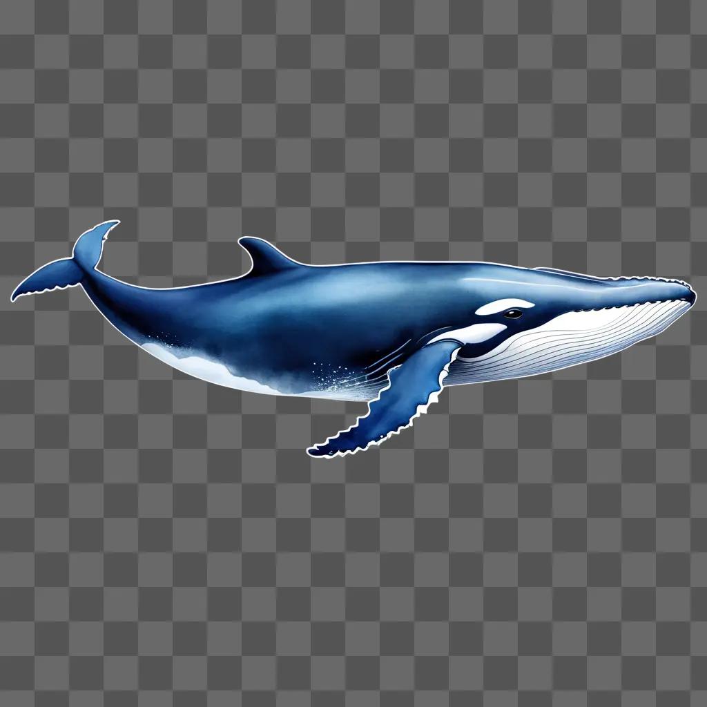 blue whale clipart is shown on a blue background