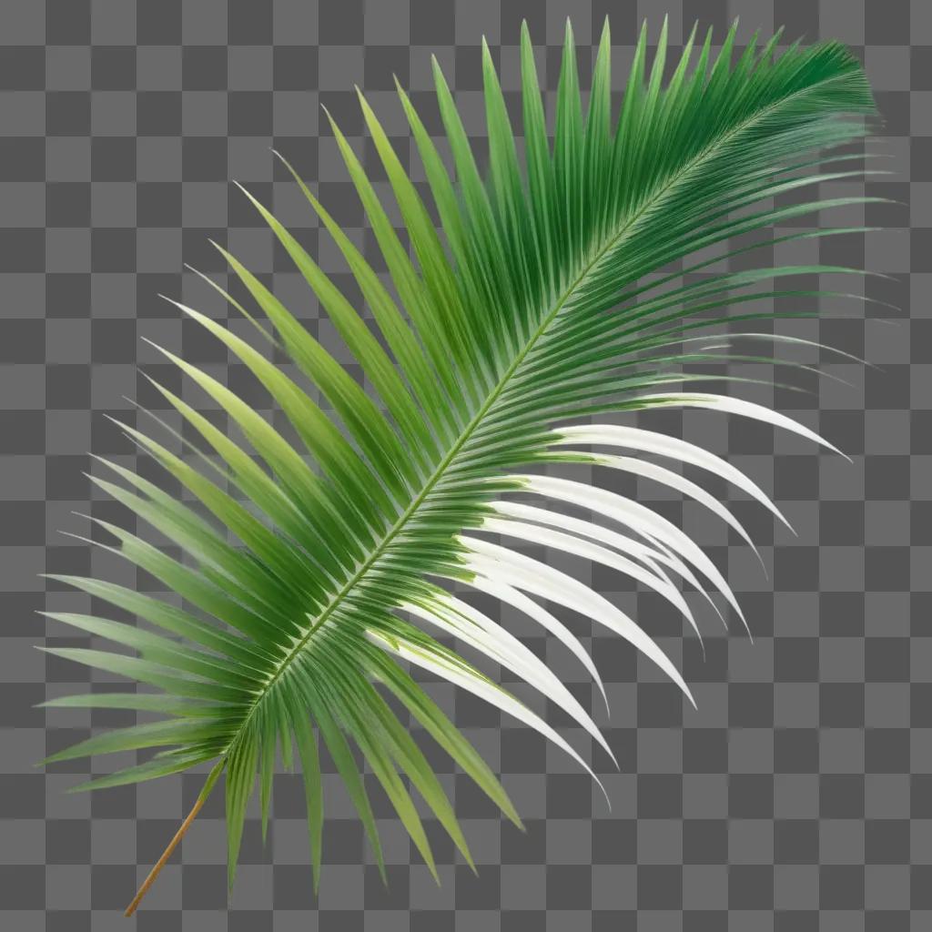 blurred palm leaf against a green background