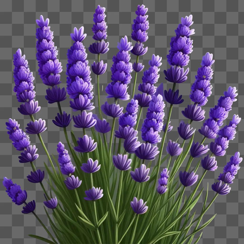 bouquet of lavender flowers with a purple background