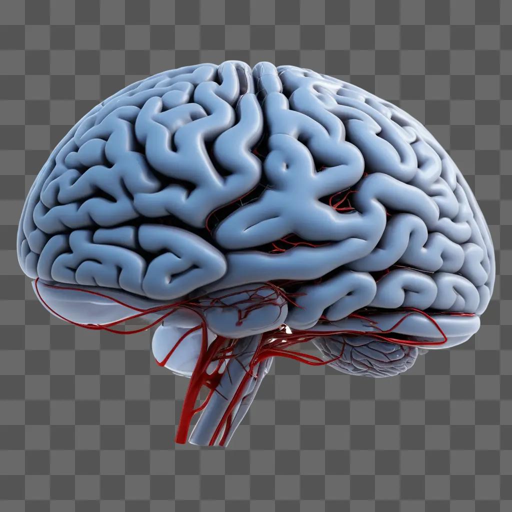 脳は透明な3Dモデルで表示されます