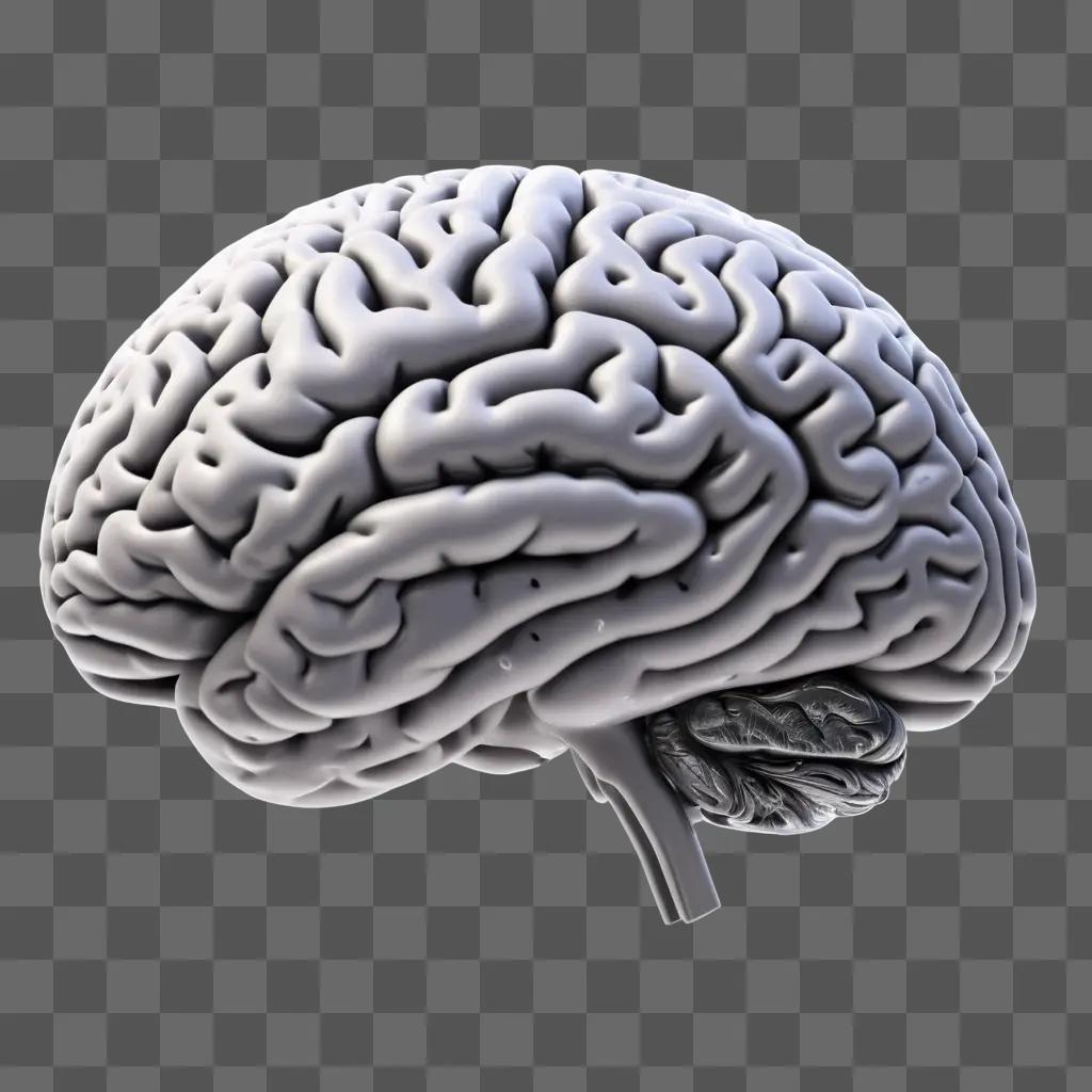 brain is sketched in a white color