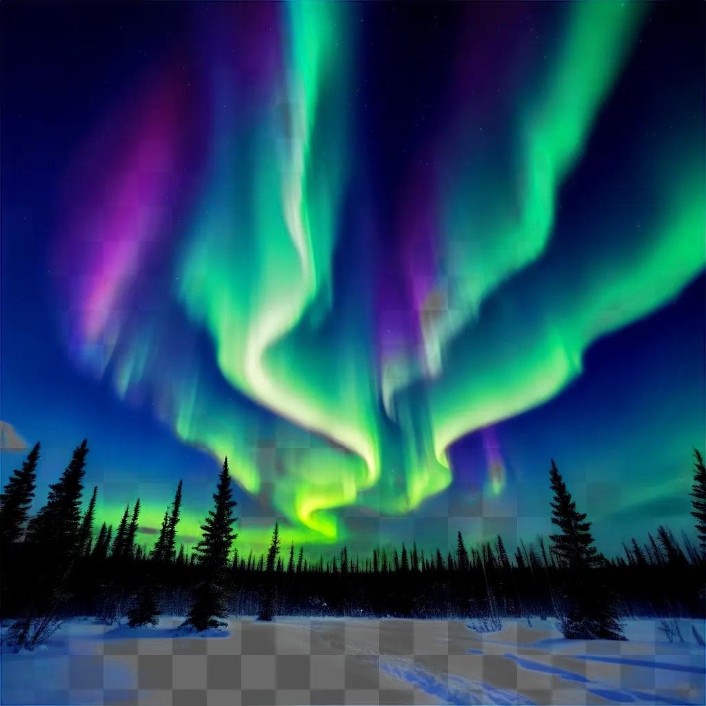 breathtaking view of the northern lights