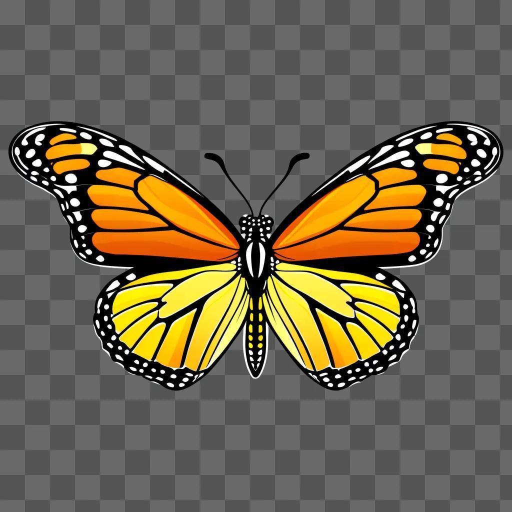 bright butterfly in a dark background